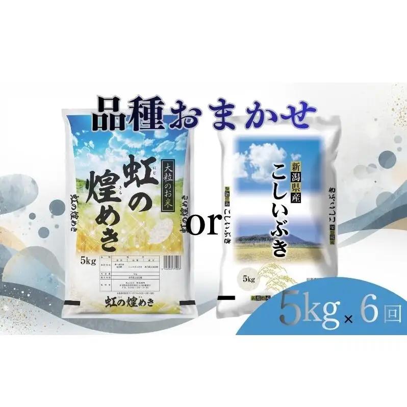 【6月下旬より配送】 新潟県産 品種おまかせ 5kg  6か月定期便 新潟県 新潟市産 令和7年産 お米 精米 米 ご飯 送料無料