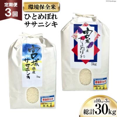ふるさと納税 気仙沼市 3回 定期 米 宮城県産 ササニシキ ひとめぼれ 環境保全米 計30kg 20564940
