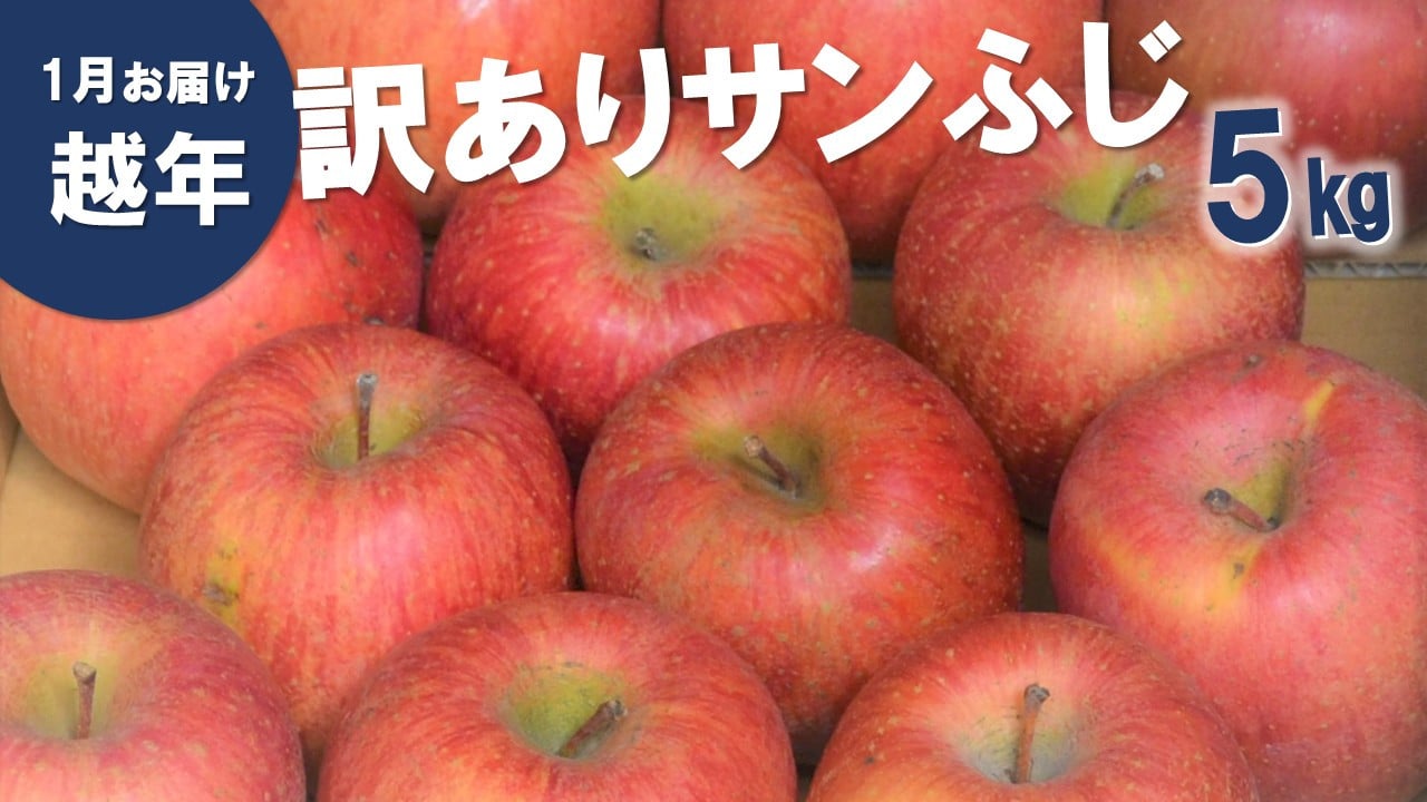 
            AS12-25A りんご サンふじ 越年自家用（松川町産）約5kg ／2026年1月中旬～2月中旬頃 配送予定 // 長野県 南信州 さんふじ サンフジ ふじりんご 訳あり 訳アリ 家庭用 自家用 年明け配送
          