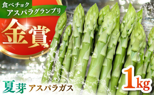 【先行予約】身体にやさしい こだわり 夏芽 アスパラガス 約1kg【ひがじま農園】  佐賀県 白石 [ICW003]