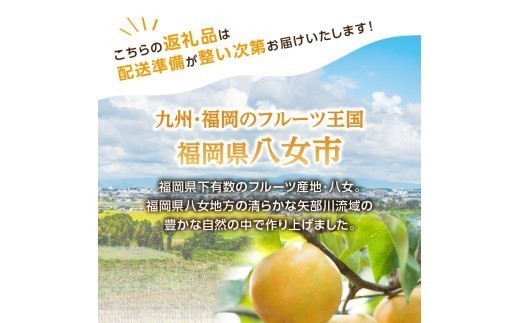梨 梨 豊水 梨5kg