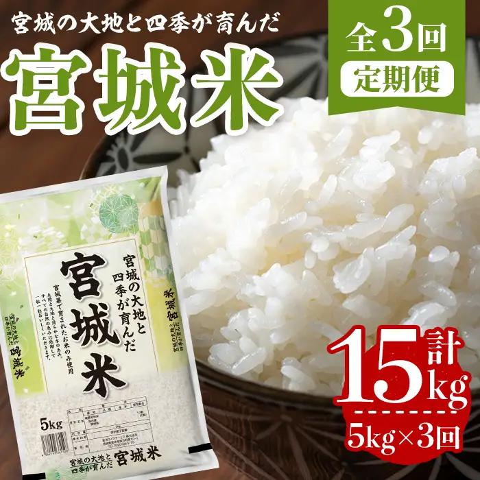 【3回定期便】宮城米 計15kg (5kg×3回配送) ブレンド米 業務用 お米 おこめ 米 コメ 白米 ご飯 ごはん おにぎり お弁当 頒布会 【登米ライスサービス株式会社】tm829