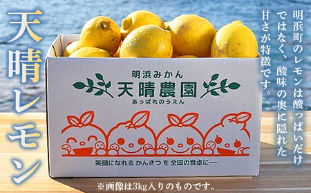 【先行予約】＜天晴レモン ご家庭用 約1.5kg＞ フルーツ 果物 くだもの レモン れもん 檸檬 柑橘 訳あり わけあり ワケアリ 自宅用 料理 国産 国産レモン 愛媛県産 特産品 株式会社笑丸 愛
