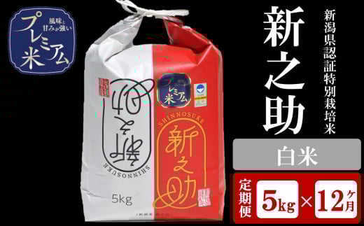 【12ヶ月定期便】甘味の強いプレミアム米 新潟県認証特別栽培米 新之助 白米 5kg×12回（計 60kg）アグリーホンマ[Y0378]