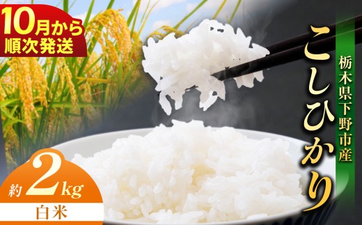 【先行予約】【2026年10月以降発送】下野市産 コシヒカリ 2kg 白米 | こめ コメ 白米 精米 こしひかり ｺｼﾋｶﾘ 新米 栃木米 令和8年度米 令和8年 2026年度 ブランド米 栃木県 特産品 送料無料 栃木県 下野市
