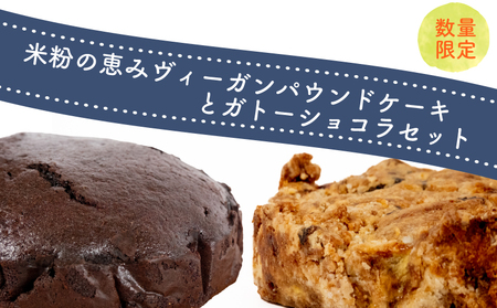 ヴィーガン パウンドケーキ ガトーショコラ セット ガトーショコラ 【DN001_x】