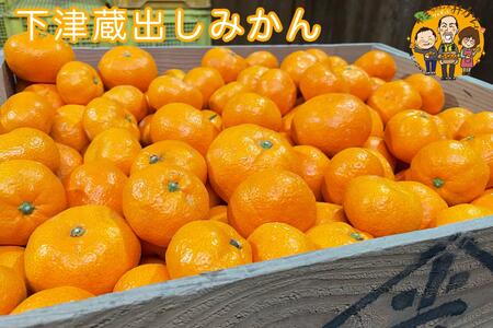 下津蔵出しみかん 約3kg SS～Lサイズいずれか 山下農園