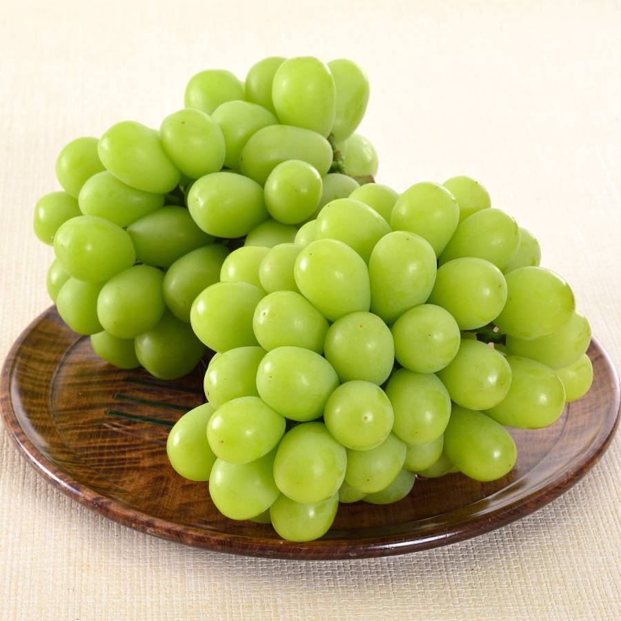 シャインマスカット