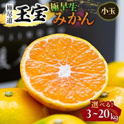 【ふるさと納税】【愛媛名産】極早生みかん【雫・・小玉】 3kg / 5kg / 10kg / 20kg_ みかん ミカン 玉宝 愛媛のみかん 極早生みかん 極早生 小玉 2S以下 柑橘 果物 フルーツ 美味しい 酸味 甘い 愛媛 愛媛県 八幡浜市 人気 送料無料 【G1510676】