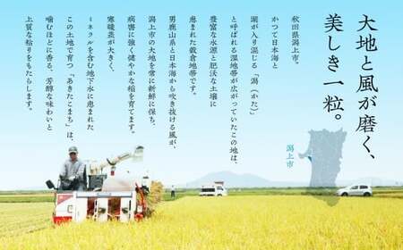 《新米 先行予約 10月発送》 無洗 米 あきたこまち ペットボトル 令和7年産 無洗米 1本 1.8kg/本 5kg 10kg 5キロ 選べる 容量 小分け 米 お米 おこめ コスパ ふるさと こめ