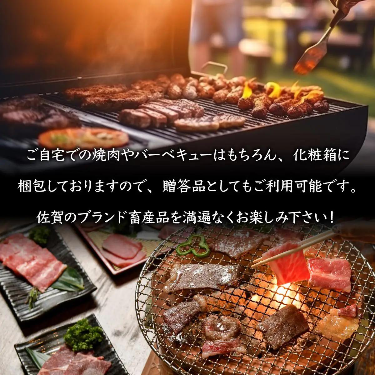 佐賀ざんまい！厳選5種焼肉盛り合わせ600g（2～3人前） 盛り合わせ