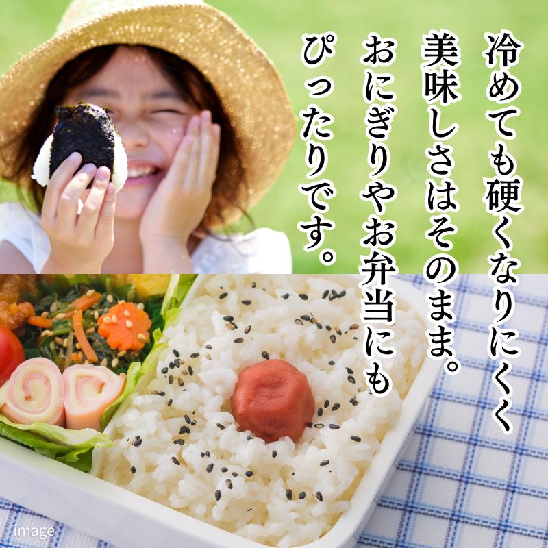 新米 令和7年 佐賀県産「さがびより」10kg（5kg×2袋）：B240-027_イメージ4