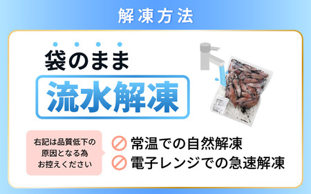 【ふるさと納税】【急速冷凍】【訳あり】生いか 天然ケンサキイカ サイズ無選別 1kg（500g × 2袋）定置網漁 皮むけ・サイズ不揃い【剣先いか 生イカ いか 白イカ いかめし いか焼き 姿焼き げ