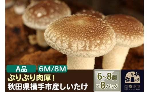 
しいたけ A級品 Mサイズ 約800g(約100g(6～8個入)×8パック)
