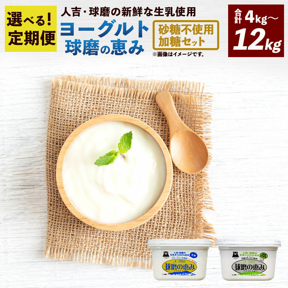 【ふるさと納税】＜選べる 定期便 ＞ 球磨の恵み ヨーグルト ( 加糖 、 砂糖不使用 ) 各1kg 計2kg 計2パック セット 2回／3回／4回／5回／6回 乳製品 生乳 朝ごはん スイーツ おやつ ジャム シリアル グラノーラ ヘルシー 人吉球磨 国産 熊本県産 相良村 冷蔵 送料無料