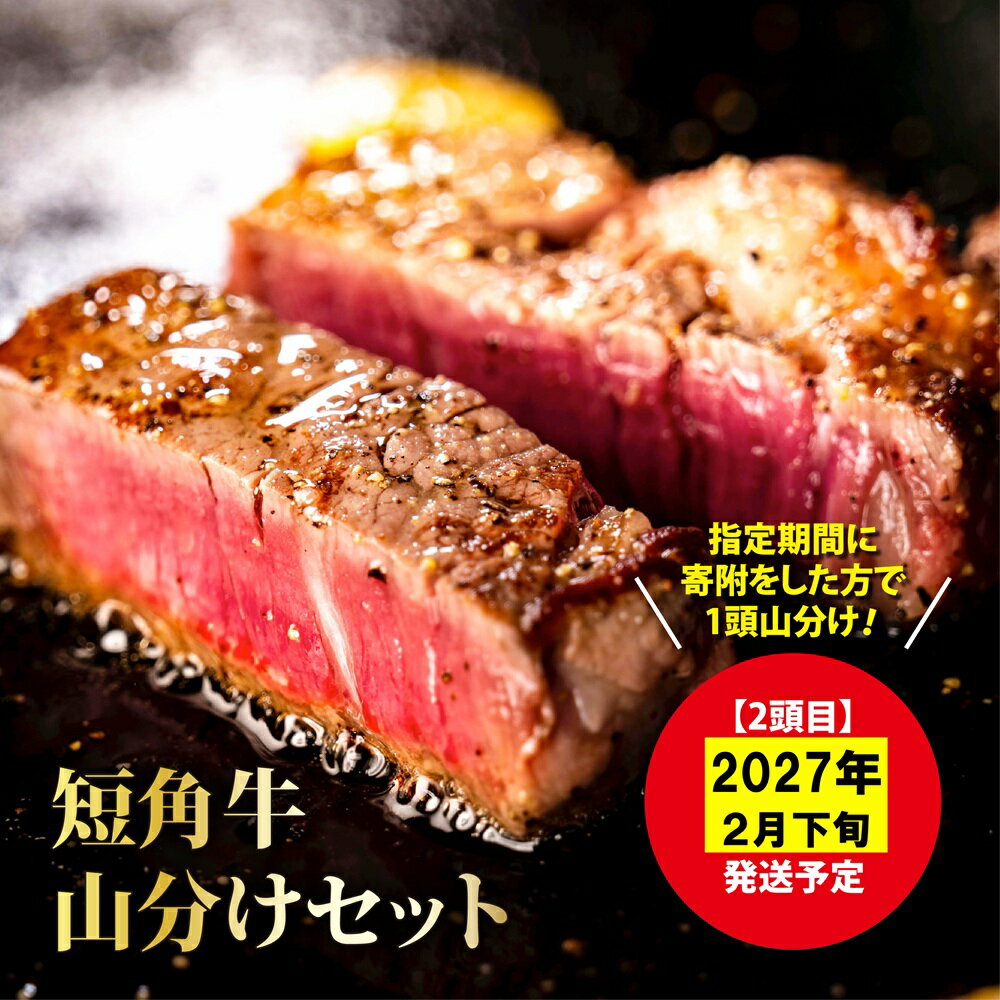 【ふるさと納税】【山形村短角牛消費拡大応援企画品】山形村短角牛まるまる1頭山分けセット「2月発送分」