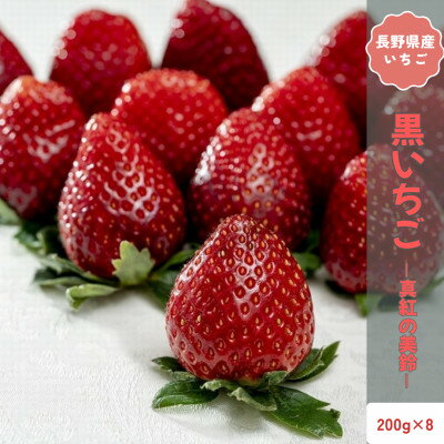 【ふるさと納税】【2026年発送予定】長野県中野市産 希少 黒いちご 真紅の美鈴 8パック【約1.6kg】【配送不可地域：離島】【1705322】