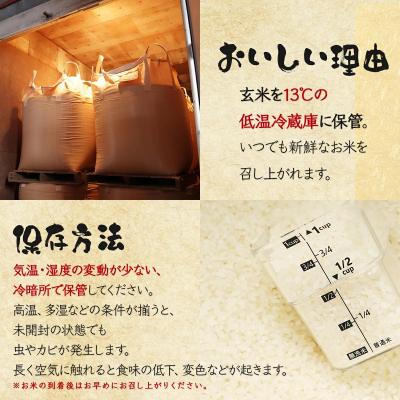 ふるさと納税 岩見沢市 《令和7年産》お米 ななつぼし|5kg『100%自家生産精米』善生さんの自慢の米 ※一括発送 |  | 02