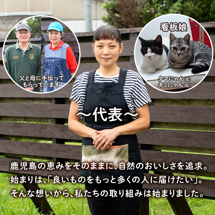 isa766 《数量限定》手作りはちみつ入りすももジャム(計9個・各140g) 加工食品 果物 フルーツ 詰め合わせ スモモ 低糖 ハンドメイド ジャム ギフト 【薩摩美食倶楽部】