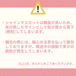 シャインマスカット 2kg 3房 － 5房 潮騒 熟成 ハワイ 種なし | 32M