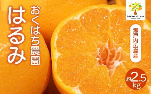 
                  はるみ 2.5kg 《2027年2～3月発送予定》 栽培期間中 防腐剤 ワックス 不使用 おくはち農園 旬 柑橘 かんきつ フルーツ 果物 瀬戸内 166025
                