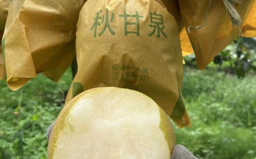 
                  秋甘泉(赤秀) 3kg【彩花園】【もぎたて 旬 フルーツ 果物 オリジナルブランド  梨 シャキシャキ 秋甘泉】
                