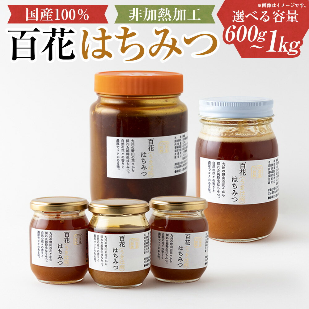 【ふるさと納税】【選べる容量】上村養蜂場 国産100％純粋百花蜂蜜 1kg・大瓶600g・ギフト 280g×3個 純粋非加熱 国産 蜜 はちみつ ハチミツ 送料無料 福岡県 うきは市