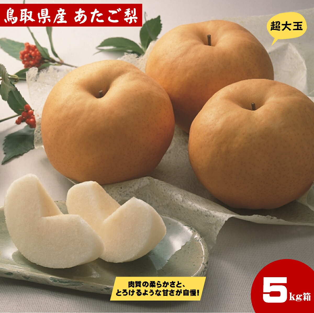 【ふるさと納税】先行予約 期間限定 あたご梨（5kg）11月中旬〜12月上旬発送【25-014-010】【鳥取西部農業協同組合 米子・あいみ果実部】 梨 ナシ 果物 フルーツ なし 鳥取県 米子市 鳥取県産 くだもの 赤梨 5キロ 先行受付 お取り寄せ 数量限定 赤梨