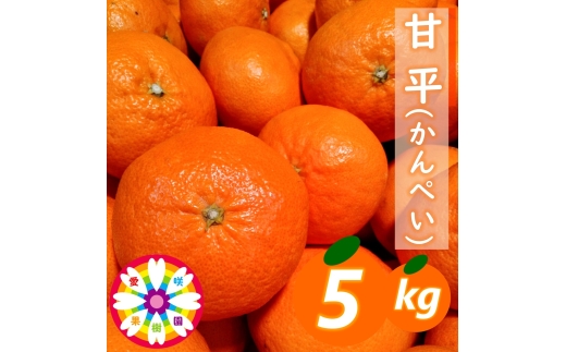 【先行受付】愛咲果樹園「甘平」約5kg【71-64】YWTS049