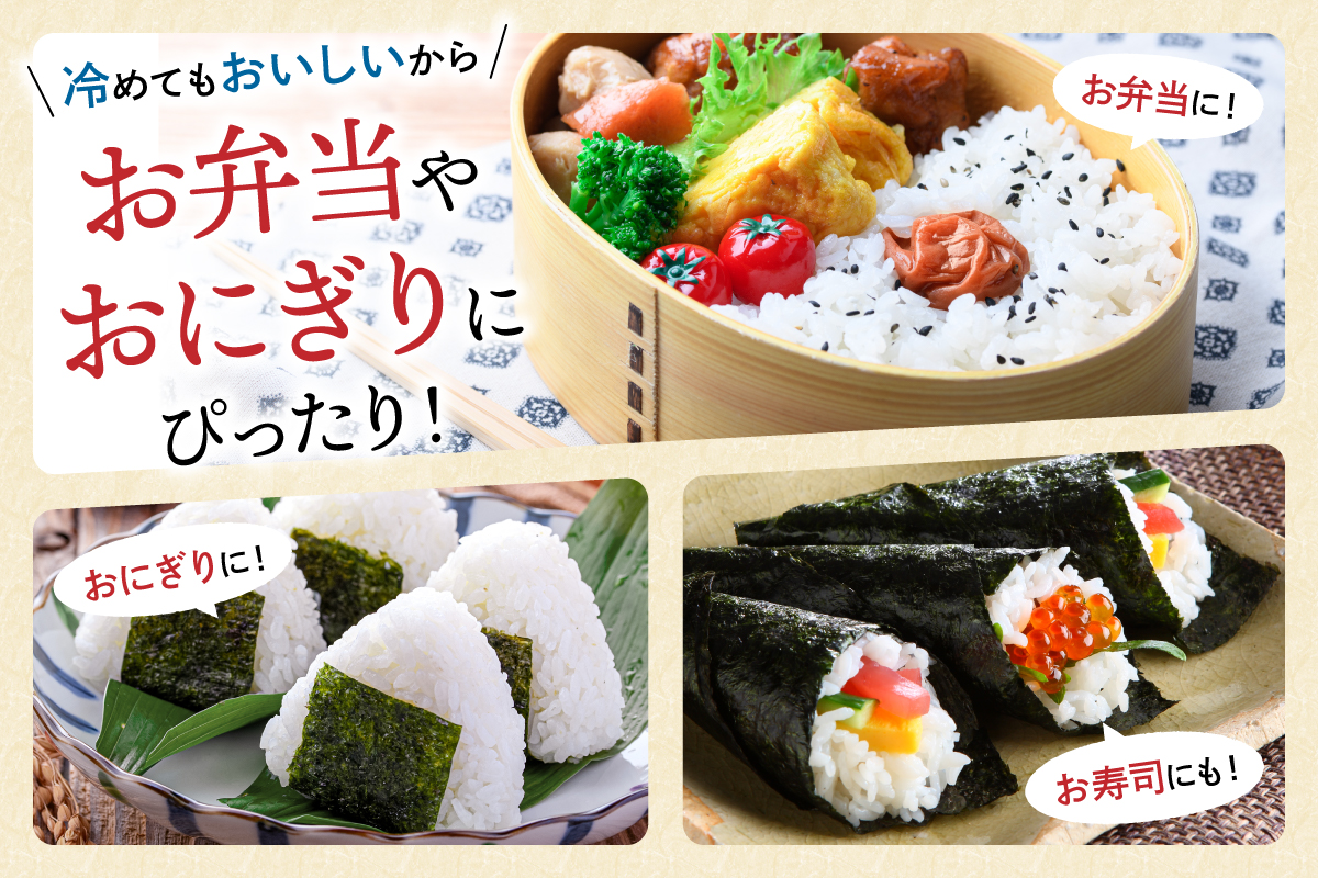 令和7年産 金王冠 精米 雨竜町ななつぼし 10kg(5kg×2) 北海道 おにぎり お弁当 特A おいしい R7U013-002