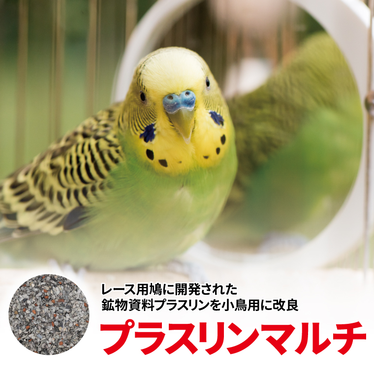 HP-2 プラスリンマルチ 小鳥用