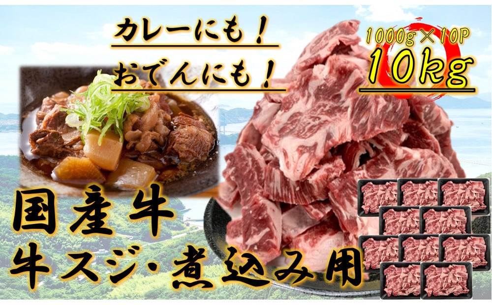 
            国産牛　スジ　10kg
          