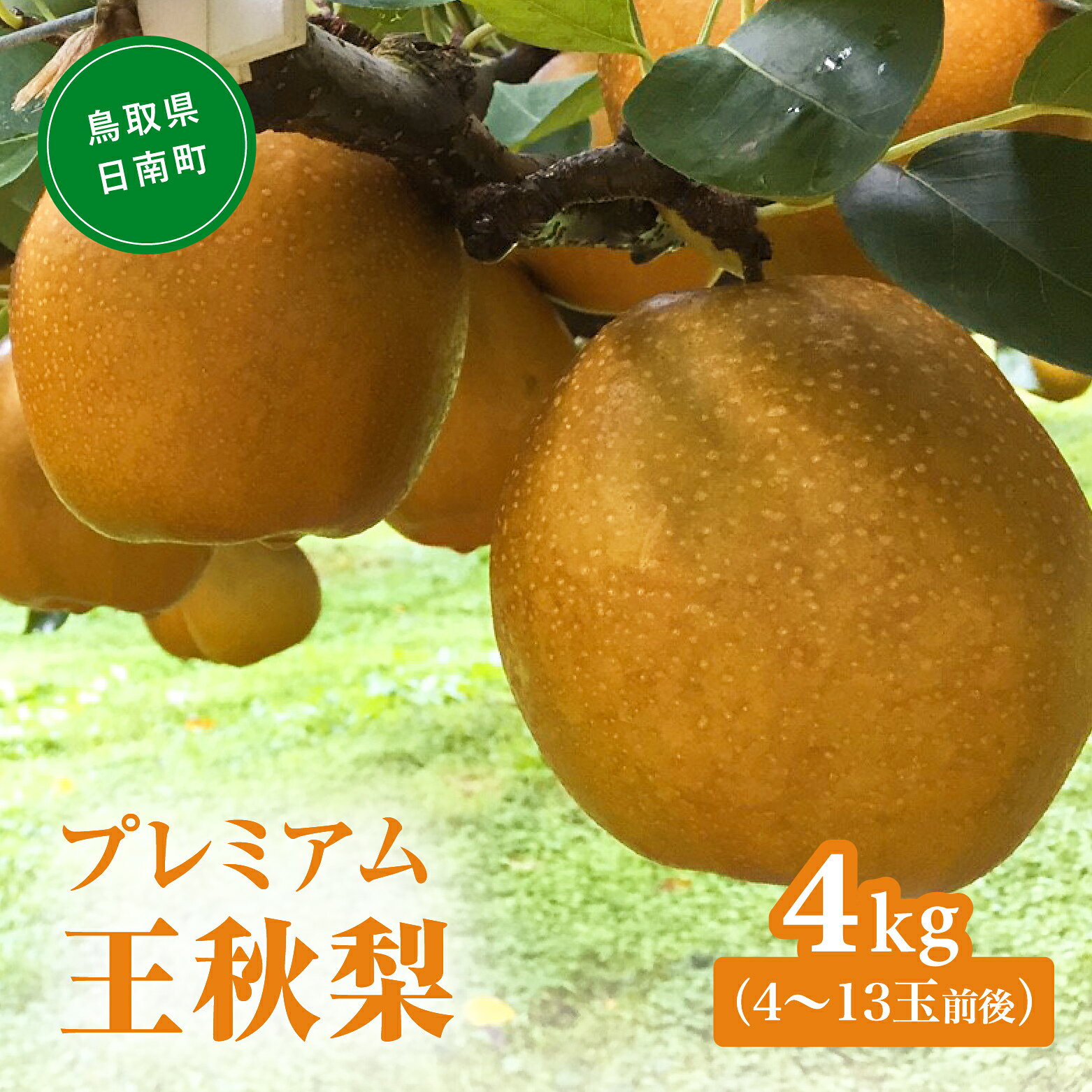 【ふるさと納税】プレミアム王秋梨 4kg(4～13玉前後) 梨 なし 果物 フルーツ 日南町 高間商店