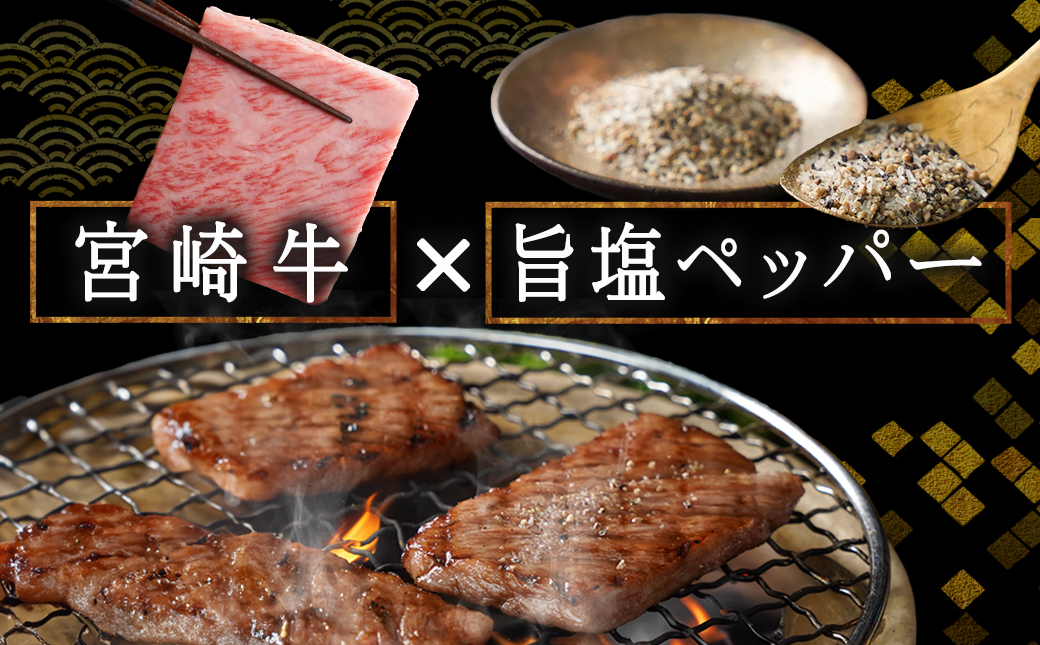 宮崎牛肩ロース焼肉700g_MA-2412