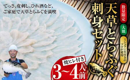 【数量限定】 【大皿】 【ミシュラン星付きのプロが愛用】 天草 とらふぐ 刺身 セット 3~4人前 焼ヒレ 付き 【2026年12月下旬-2027年3月下旬発送予定】ふぐ 河豚 フグ トラフグ 刺身 ふぐ刺し 皮刺し ひれ酒