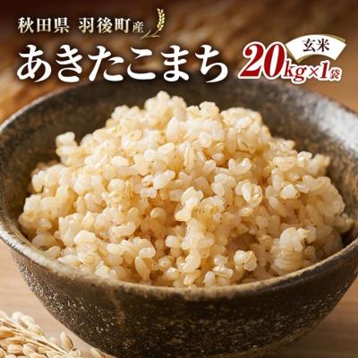 ふるさと納税 羽後町 秋田県羽後町産あきたこまち 玄米 20kg×1袋[No.5325-0585]