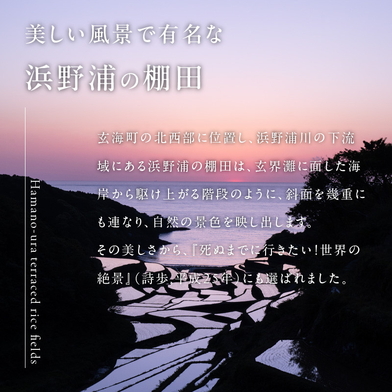 石垣にお日様が当たって水が温もりやすいため、成長が早いです。