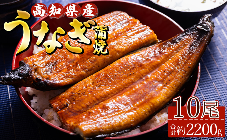 高知県産養殖うなぎ蒲焼 10尾(合計約2200g) - 土用の丑の日 鰻 ウナギ 蒲焼き かば焼き かばやき うな丼 うな重 送料無料 ギフト お中元 御中元 父の日 お礼 御礼 感謝 贈答 贈り物 