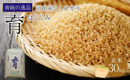【令和7年産】富山県産こしひかり　育（はぐくみ）玄米３０kg《南砺の逸品》