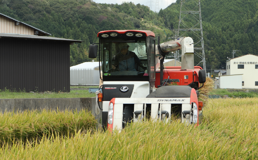 【先行予約】【数量限定】《令和7年産》《新米》T rice Store 岐阜県産 コシヒカリ 5kg | 垂井町産 米 こめ お米 白米 精米 冷めても美味しい米 ブランド米 高品質 安心 安全 リピ