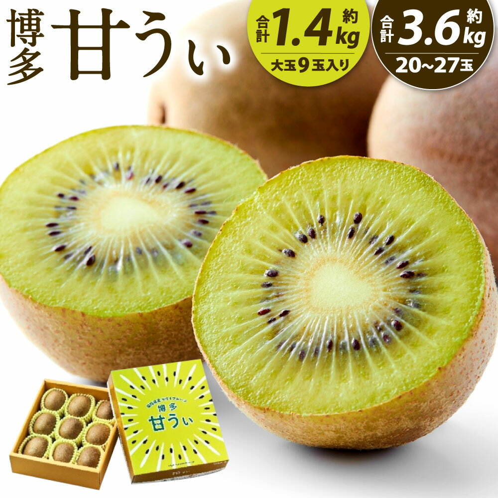 【ふるさと納税】福岡県産 博多甘うぃ 〈選べる〉約1.4kg (大玉9玉入り) 約3.6kg(20玉～27玉入り) キウイ キウイフルーツ 果物 フルーツ 旬 大玉 新品種 果実 甘み ジューシー 甘い 国産 福岡県限定生産 九州 送料無料【2025年11月上旬から12月上旬発送予定】