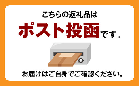 調味料 塩だれ 調味料 焼肉ザパンチ 1個