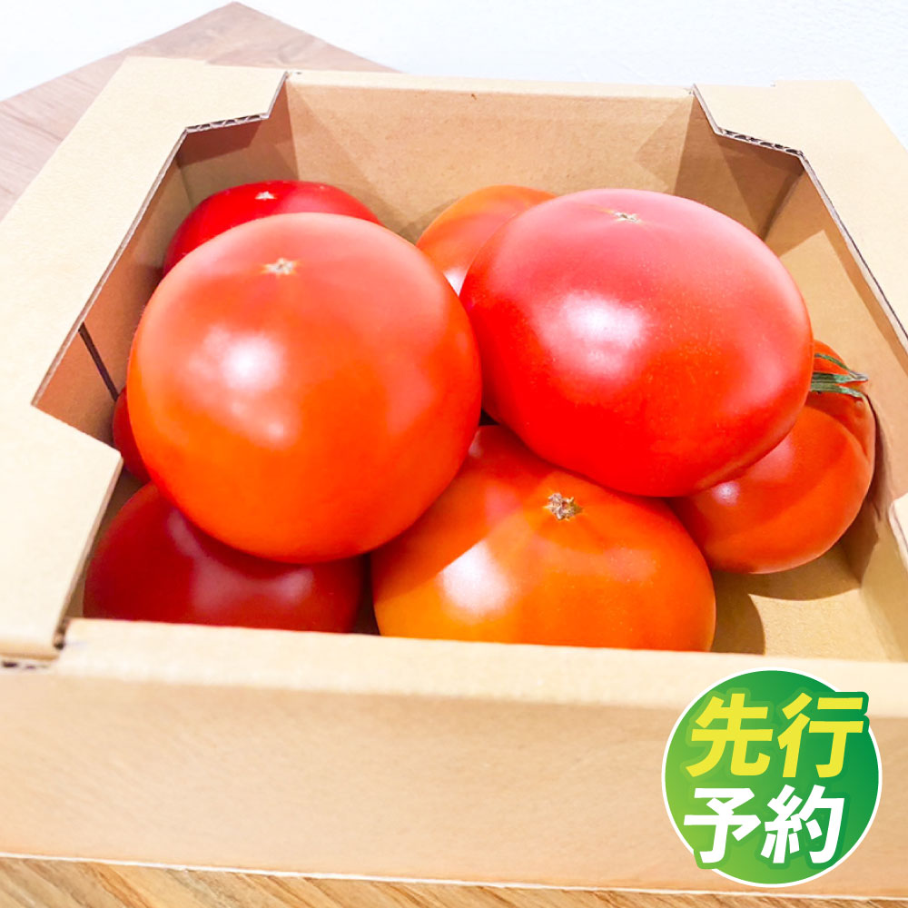 【ふるさと納税】【4回定期便】『まるで太陽の恵みをそのまま閉じ込めたような真っ赤な 大玉トマト』 約3.5kg×1箱 計約14kg（約3.5kg×4回） 特別な定期便 熊本県産 野菜 サラダ カプレーゼ 国産 九州 熊本県 熊本市 送料無料 【2027年1月下旬～4月下旬迄発送予定】