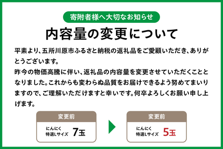 【先行受付】【8月下旬より順次発送】 にんにく　青森県産にんにく (特選)Lサイズ5玉 ホワイト六片 ガーリック ニンニク お試し ホワイト六片 青森にんにく 五所川原
