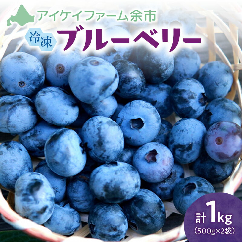 【ふるさと納税】 冷凍ブルーベリー 500g×2袋 (チャック付き袋)【アイケイファーム余市】 フルーツ 果物 お取り寄せ スムージー ジュース ヨーグルト ジャム アレンジ 送料無料 北海道 余市町