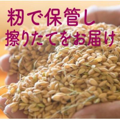 ふるさと納税 阿賀町 【発送月固定定期便】【2026年9月下旬より順次発送】新潟県こしひかり『奥阿賀仁一郎』10kg全3回 |  | 01