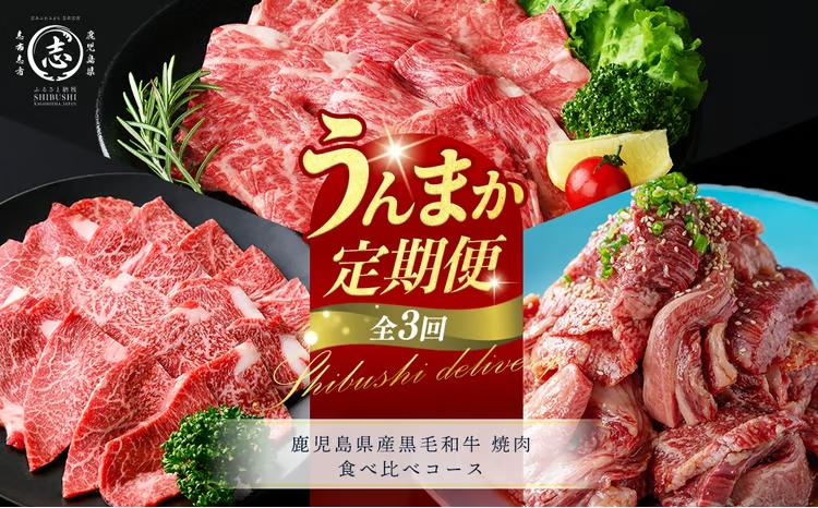 【定期便全3回】鹿児島県産黒毛和牛 焼肉 食べ比べコース！志布志うんまか定期便 t0070-010