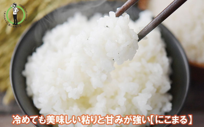 【令和7年度産】大阪府熊取町「わりかし若い百姓の会」の美味しいお米　にこまる　10㎏（5㎏×2袋）（033_5002）