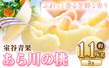 【予約受付】あら川の桃 約1.1kg 室谷青果 《2025年6月下旬-8月中旬頃出荷》 和歌山県 紀の川市
