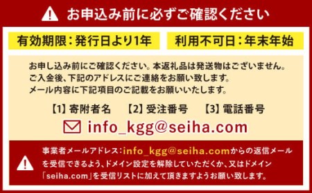 海外の雰囲気の中で英語体験！ KITAKYUSHU GLOBAL GATEWAY 体験チケット (子ども1名様) 北九州グローバルゲートウェイ KGG 英語村 英語 グローバル 教育 福岡県 北九州市